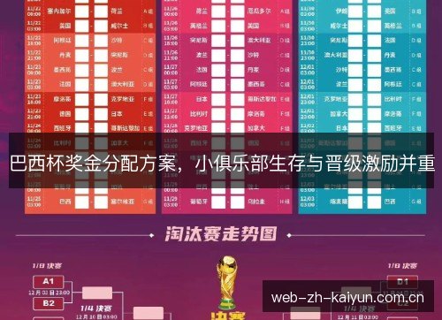 巴西杯奖金分配方案，小俱乐部生存与晋级激励并重